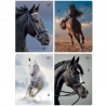 4 X ZESZYT A5, 32 KARTKI, KRATKA Z MARGINESEM, KONIE, HORSES, INTERDRUK