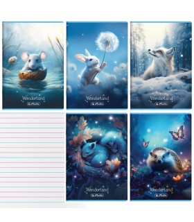 5 SZT. X ZESZYT A5 32 KARTKI DO NAUKI PISANIA W KOLOROWE TRZY LINIE WONDERLAND HERLITZ